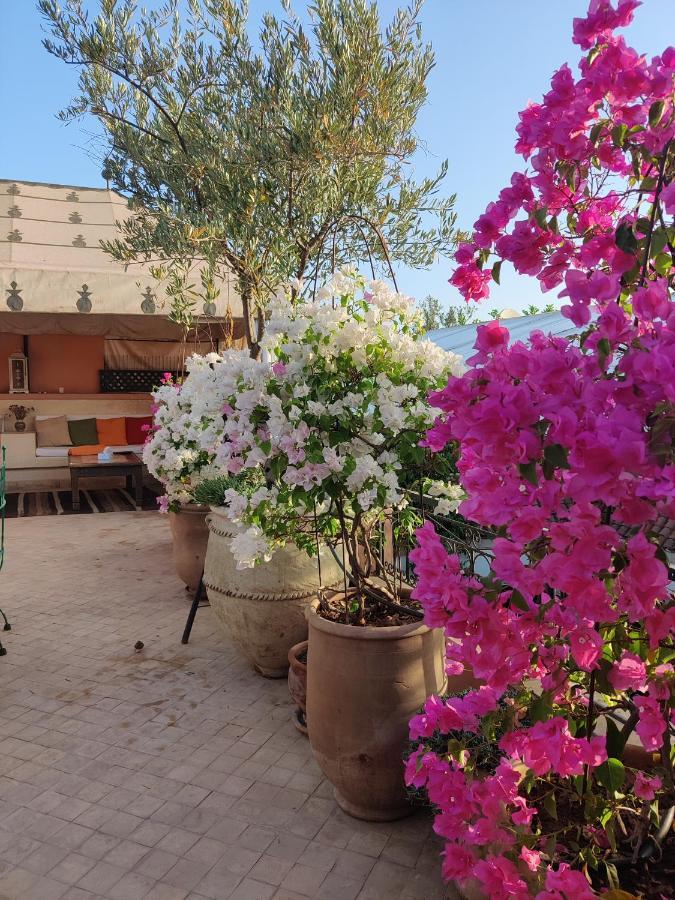Riad Nirvana Marrakesh Buitenkant foto