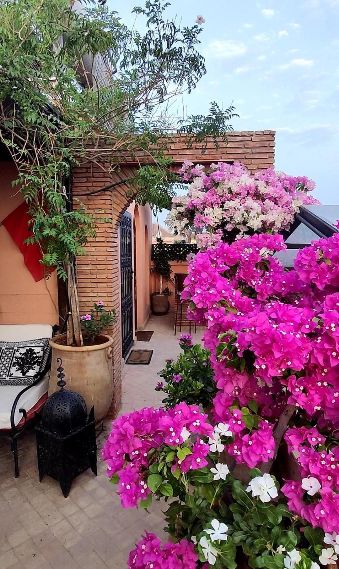 Riad Nirvana Marrakesh Buitenkant foto