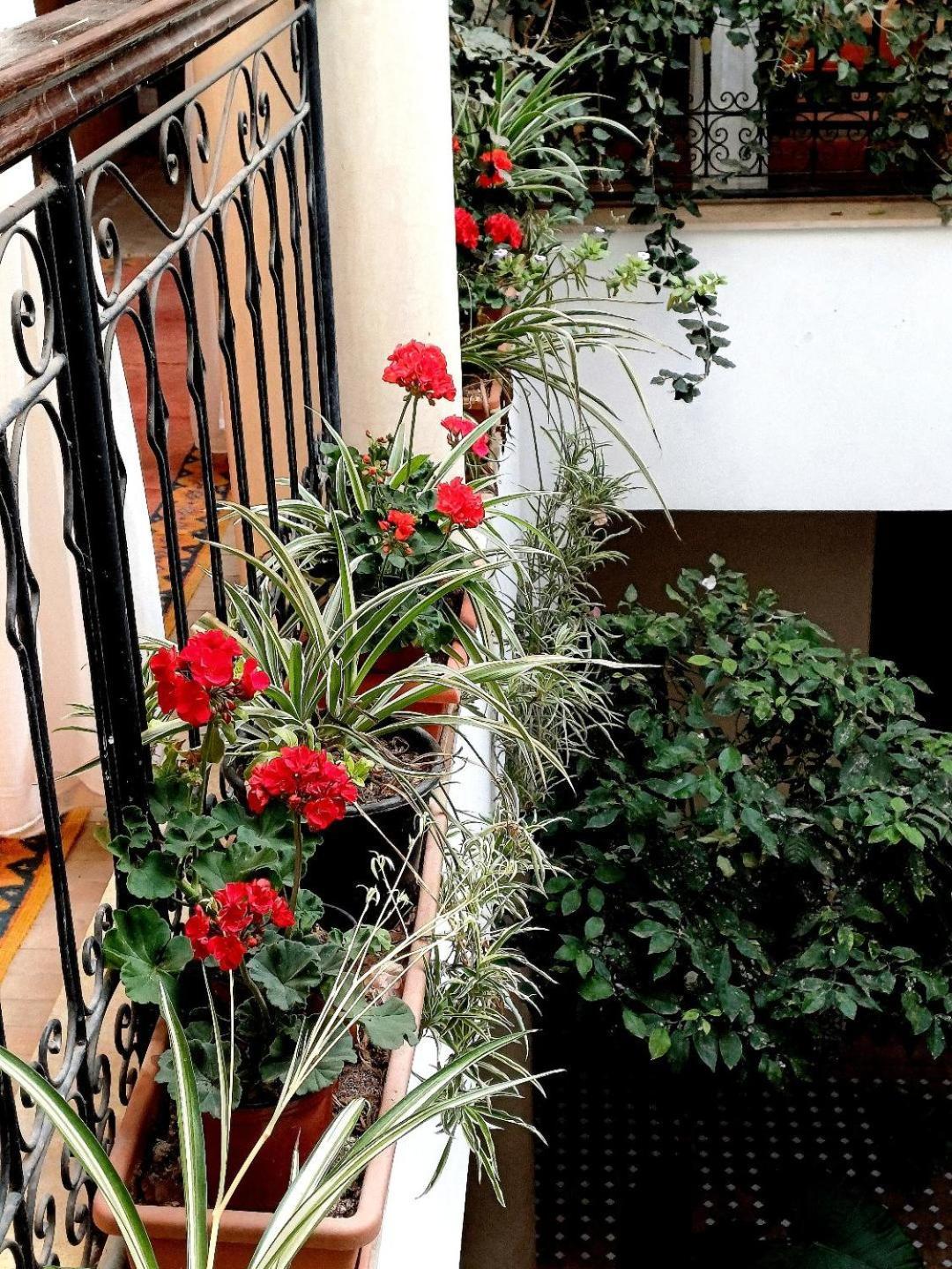 Riad Nirvana Marrakesh Buitenkant foto